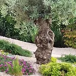 Holiday home Casa Dell 'amore Porec