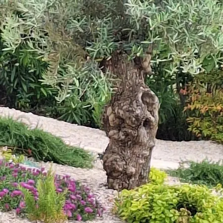 Hébergement de vacances Casa Dell 'amore Poreč