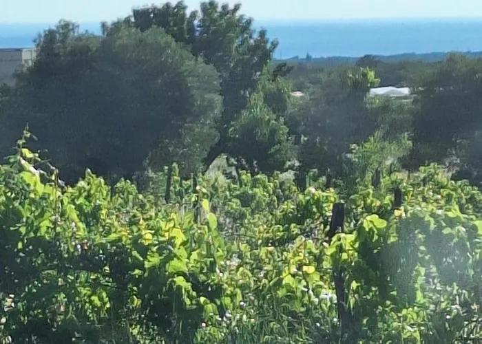 Casa Dell 'amore Poreč