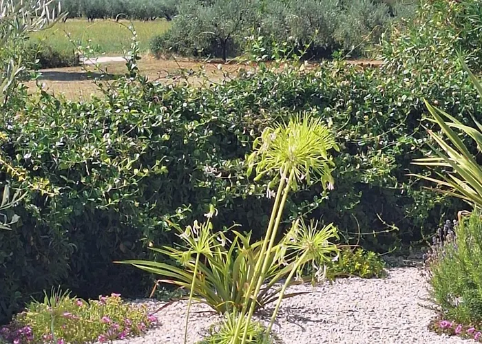 Tatil Evi Casa Dell 'amore *