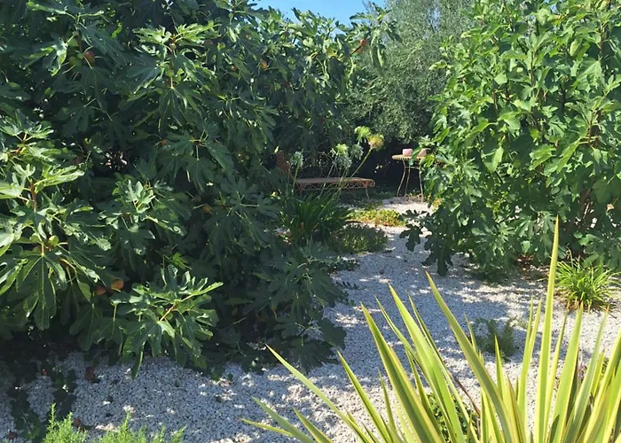 Tatil Evi Casa Dell 'amore Poreč