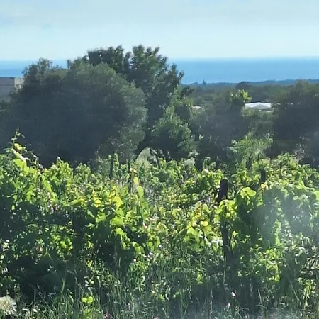 Casa Dell 'amore Пореч