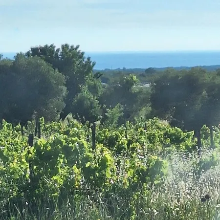 Casa Dell 'amore * Porec