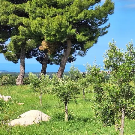 Holiday home Casa Dell 'amore *