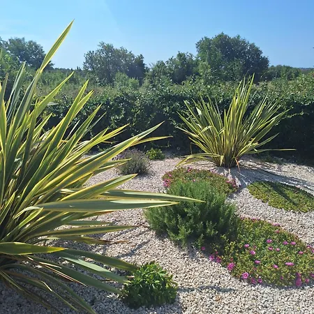 Vakantiehuis Casa Dell 'amore *